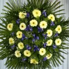 Przedsiębiorstwo 9 wizerunek KWIACIARNIA DEO GRATIAS Kwiaciarnie w Warszawa MZ