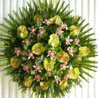 Przedsiębiorstwo 13 wizerunek KWIACIARNIA DEO GRATIAS Kwiaciarnie w Warszawa MZ