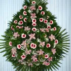 Przedsiębiorstwo 22 wizerunek KWIACIARNIA DEO GRATIAS Kwiaciarnie w Warszawa MZ