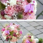 Przedsiębiorstwo 5 wizerunek KWIACIARNIA FLOWER LAND KRAKÓW - HUBERT LAMAŃSKI MISTRZ FLORYSTYKI Kwiaciarnie w Kraków MA