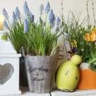 Przedsiębiorstwo 18 wizerunek KWIACIARNIA FLOWER LAND KRAKÓW - HUBERT LAMAŃSKI MISTRZ FLORYSTYKI Kwiaciarnie w Kraków MA