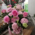 Przedsiębiorstwo 1 wizerunek KWIACIARNIA KWIATKARNIA Kwiaciarnie w Lublin LU