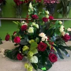 Przedsiębiorstwo 1 wizerunek KWIACIARNIA MAGNOLIA MONIKA GAJDA Kwiaciarnie w Sandomierz SK