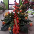 Przedsiębiorstwo 2 wizerunek KWIACIARNIA MAGNOLIA MONIKA GAJDA Kwiaciarnie w Sandomierz SK