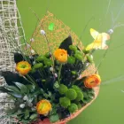 Przedsiębiorstwo 3 wizerunek KWIACIARNIA MAGNOLIA MONIKA GAJDA Kwiaciarnie w Sandomierz SK