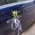 Przedsiębiorstwo 5 wizerunek KWIACIARNIA MAJA JADWIGA MALINOWSKA Kwiaciarnie w Kalisz WP