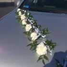 Przedsiębiorstwo 8 wizerunek KWIACIARNIA MAJA JADWIGA MALINOWSKA Kwiaciarnie w Kalisz WP