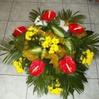 Przedsiębiorstwo 2 wizerunek KWIACIARNIA MAJA KRAKÓW Kwiaciarnie w Kraków MA