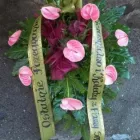 Przedsiębiorstwo 4 wizerunek KWIACIARNIA MAJA KRAKÓW Kwiaciarnie w Kraków MA