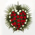 Przedsiębiorstwo 7 wizerunek KWIACIARNIA MAJA KRAKÓW Kwiaciarnie w Kraków MA