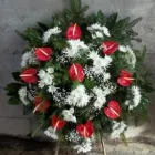 Przedsiębiorstwo 9 wizerunek KWIACIARNIA MAJA KRAKÓW Kwiaciarnie w Kraków MA