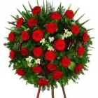 Przedsiębiorstwo 10 wizerunek KWIACIARNIA MAJA KRAKÓW Kwiaciarnie w Kraków MA