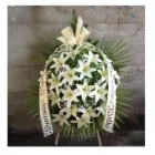 Przedsiębiorstwo 12 wizerunek KWIACIARNIA MAJA KRAKÓW Kwiaciarnie w Kraków MA