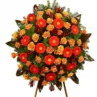 Przedsiębiorstwo 13 wizerunek KWIACIARNIA MAJA KRAKÓW Kwiaciarnie w Kraków MA