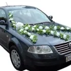 Przedsiębiorstwo 14 wizerunek KWIACIARNIA MAJA KRAKÓW Kwiaciarnie w Kraków MA