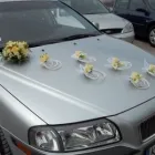 Przedsiębiorstwo 15 wizerunek KWIACIARNIA MAJA KRAKÓW Kwiaciarnie w Kraków MA