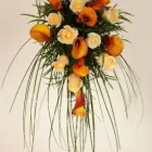 Przedsiębiorstwo 17 wizerunek KWIACIARNIA MAJA KRAKÓW Kwiaciarnie w Kraków MA