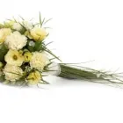 Przedsiębiorstwo 19 wizerunek KWIACIARNIA MAJA KRAKÓW Kwiaciarnie w Kraków MA