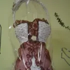 Przedsiębiorstwo 5 wizerunek KWIACIARNIA MIMOZJA MAŁGORZATA ŚWIERCZYŃSKA Szkło Ozdobne, Użytkowe - Produkcja, Hurt w Kielce SK