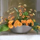 Przedsiębiorstwo 8 wizerunek KWIACIARNIA MIMOZJA MAŁGORZATA ŚWIERCZYŃSKA Szkło Ozdobne, Użytkowe - Produkcja, Hurt w Kielce SK