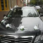 Przedsiębiorstwo 13 wizerunek KWIACIARNIA MIMOZJA MAŁGORZATA ŚWIERCZYŃSKA Szkło Ozdobne, Użytkowe - Produkcja, Hurt w Kielce SK