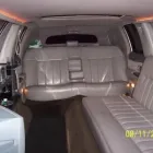 Przedsiębiorstwo 4 wizerunek LIMOMAR w Łódź LD