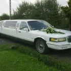 Przedsiębiorstwo 6 wizerunek LIMOMAR w Łódź LD