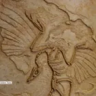 Przedsiębiorstwo 3 wizerunek MAESTRO DECORATORE Kategoria w Rzeszów PK