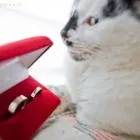 Przedsiębiorstwo 10 wizerunek MAGICZNA CHWILA Kategoria w Warszawa MZ