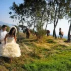 Przedsiębiorstwo 1 wizerunek MAGNOLIAFILM - FILMOWANIE WESEL, ŚLUBÓW Wideofilmowanie w Wrocław DS