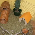 Przedsiębiorstwo 1 wizerunek MAJA ZOO Zwierzęta - Artykuły w Warszawa MZ