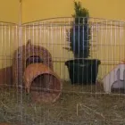 Przedsiębiorstwo 2 wizerunek MAJA ZOO Zwierzęta - Artykuły w Warszawa MZ