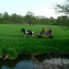 Przedsiębiorstwo 6 wizerunek MALIBU - KOMUNIE, WESELA, IMPREZY, EVENTY Kategoria w Lublin LU