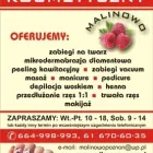 Przedsiębiorstwo 1 wizerunek MALINOWO Kosmetyka - Usługi w Poznań WP