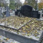 Przedsiębiorstwo 1 wizerunek MEMENTO Sprzątanie - Usługi w Konin WP