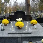 Przedsiębiorstwo 2 wizerunek MEMENTO Sprzątanie - Usługi w Konin WP