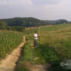 Przedsiębiorstwo 1 wizerunek MG GEODEZJA MATEUSZ GUTERCH Ogrody, Tereny Zieleni - Projektowanie, Utrzymanie w Kraków MA