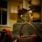 Przedsiębiorstwo 4 wizerunek MIND ESCAPE POZNAŃ w Poznań WP