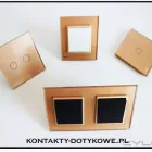 Przedsiębiorstwo 3 wizerunek MLS POLSKA Lekarze - Homeopaci w Wrocław DS