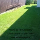 Przedsiębiorstwo 2 wizerunek MR. GREEN GRASS w Kraków MA