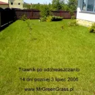 Przedsiębiorstwo 4 wizerunek MR. GREEN GRASS w Kraków MA