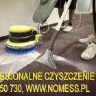 Przedsiębiorstwo 8 wizerunek NO MESS, KOMPLEKSOWE USŁUGI CZYSTOŚCIOWE, SPRZĄTANIE BIUR, MYCIE OKIEN, PRANIE DYWANÓW, CZYSZCZENIE Sprzątanie - Usługi w Sosnowiec SL