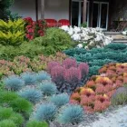 Przedsiębiorstwo 1 wizerunek OGRODY PRZYSZŁOŚCI Ogrody, Tereny Zieleni - Projektowanie, Utrzymanie w Warszawa MZ