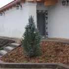 Przedsiębiorstwo 4 wizerunek OGRODY PRZYSZŁOŚCI Ogrody, Tereny Zieleni - Projektowanie, Utrzymanie w Warszawa MZ