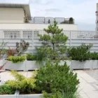 Przedsiębiorstwo 5 wizerunek OGRODY PRZYSZŁOŚCI Ogrody, Tereny Zieleni - Projektowanie, Utrzymanie w Warszawa MZ