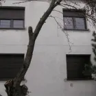 Przedsiębiorstwo 5 wizerunek OKNA KONIECZNY Samochody - Szyberdachy w Łódź LD