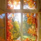 Przedsiębiorstwo 1 wizerunek OKTOMAR Samochody - Szyberdachy w Bydgoszcz KP