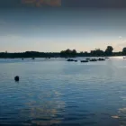 Przedsiębiorstwo 1 wizerunek OŚRODEK WYPOCZYNKOWY REGENT Ośrodki Wypoczynkowe, Szkoleniowe w Końskie SK