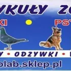 Przedsiębiorstwo 4 wizerunek P.P.H.U. GOŁĄB PAWEŁ GÓRAL Zoologiczne Sklepy w Pruszcz Gdański PM