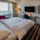 Przedsiębiorstwo 45 wizerunek PARK INN BY RADISSON KATOWICE Kategoria w Katowice SL